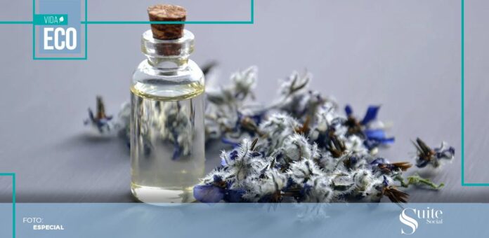 SS AROMA