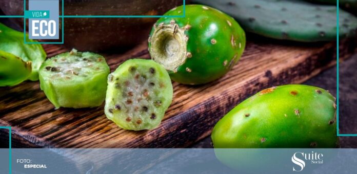 SS TUNAS La tuna es una fruta endémica nacional, está disponible casi todo el año y aporta grandes beneficios a la salud
