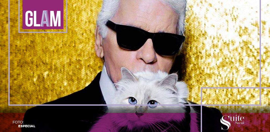 Choupette fue la gatita de Karl Lagarfeld, una mascota que se robó a las cámaras y se convirtió en la pasada MET Gala