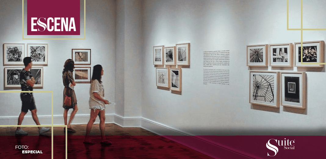 ss exposiciones
