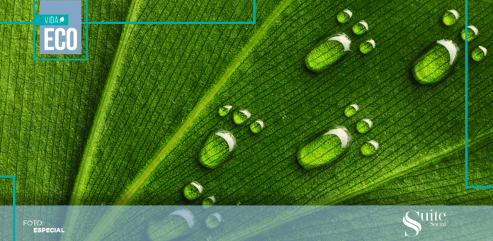 huella ecológica huella ecológica
