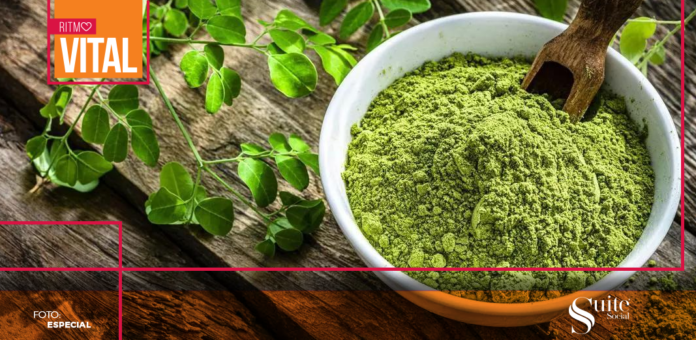 moringa moringa