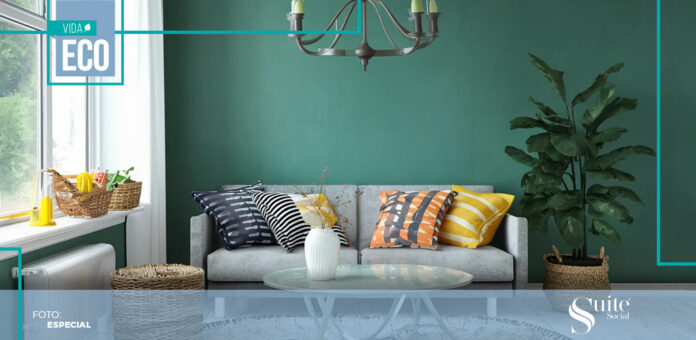 decoración decoración