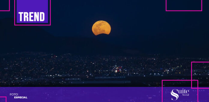 Luna del Cazador Luna del Cazador